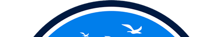 Logo Top